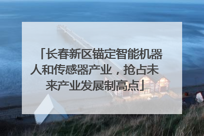 长春新区锚定智能机器人和传感器产业，抢占未来产业发展制高点