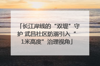 长江岸线的“双堤”守护 武昌社区防溺引入“1米高度”治理视角