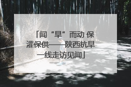 闻“旱”而动 保灌保供——陕西抗旱一线走访见闻