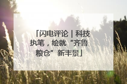 闪电评论｜科技执笔，绘就“齐鲁粮仓”新丰景