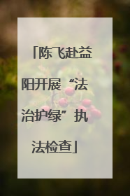 陈飞赴益阳开展“法治护绿”执法检查