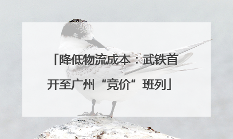 降低物流成本：武铁首开至广州“竞价”班列