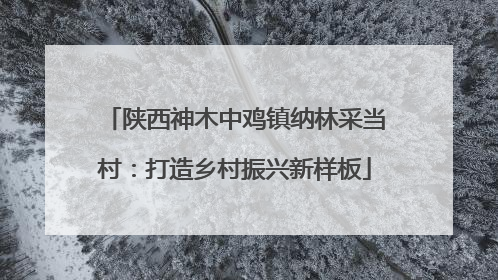 陕西神木中鸡镇纳林采当村：打造乡村振兴新样板