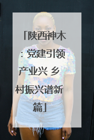 陕西神木：党建引领产业兴 乡村振兴谱新篇
