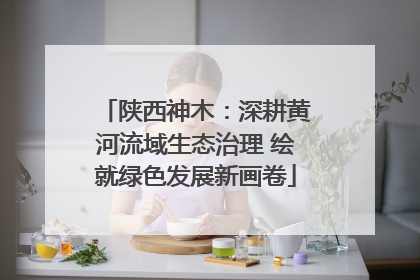 陕西神木：深耕黄河流域生态治理 绘就绿色发展新画卷