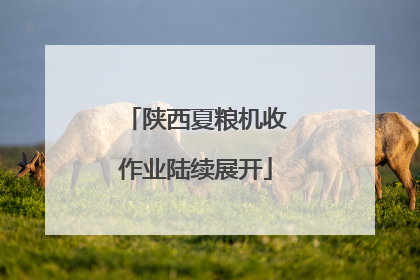 陕西夏粮机收作业陆续展开