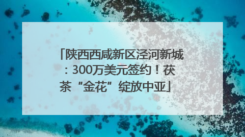 陕西西咸新区泾河新城：300万美元签约！茯茶“金花”绽放中亚