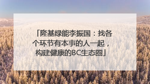 隆基绿能李振国：找各个环节有本事的人一起，构建健康的BC生态圈