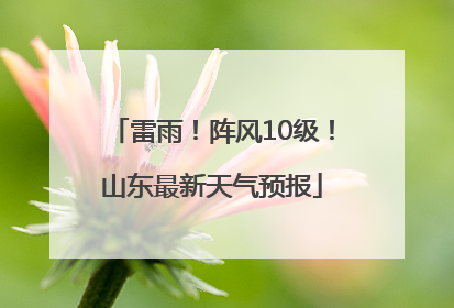 雷雨！阵风10级！山东最新天气预报