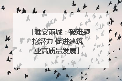 雅安雨城：破难题 挖潜力 促进建筑业高质量发展