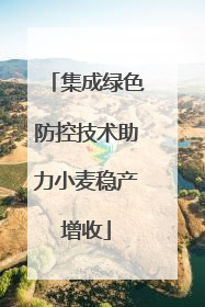 集成绿色防控技术助力小麦稳产增收