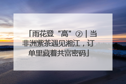 雨花登“高”②｜当非洲紫茶遇见湘江，订单里藏着共富密码