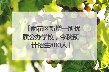 雨花区新增一所优质公办学校，今秋预计招生800人
