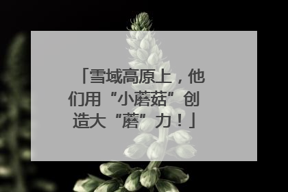 雪域高原上，他们用“小蘑菇”创造大“蘑”力！