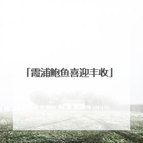 霞浦鲍鱼喜迎丰收