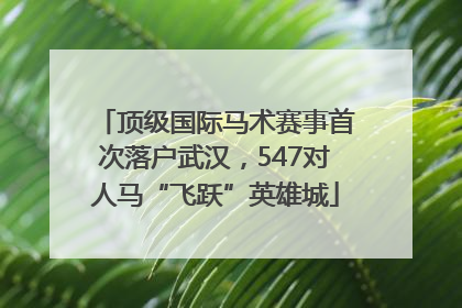 顶级国际马术赛事首次落户武汉，547对人马“飞跃”英雄城
