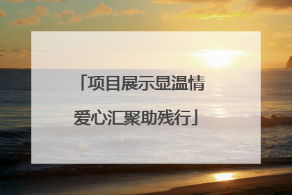 项目展示显温情 爱心汇聚助残行