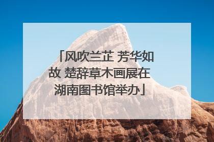风吹兰芷 芳华如故 楚辞草木画展在湖南图书馆举办
