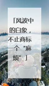 风波中的白象，不止商标一个“麻烦”