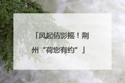 风起倩影摇！荆州“荷您有约”