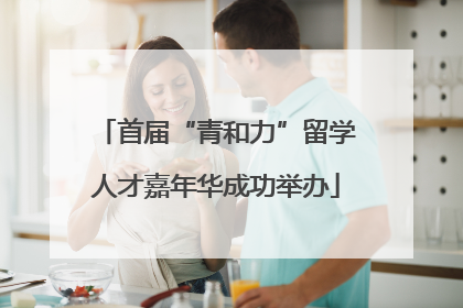 首届“青和力”留学人才嘉年华成功举办