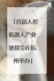 首届人形机器人产业链接会在杭州举办