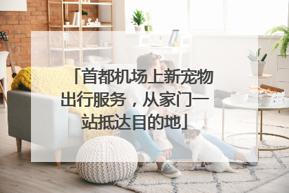 首都机场上新宠物出行服务，从家门一站抵达目的地