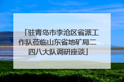 驻青岛市李沧区省派工作队莅临山东省地矿局二四八大队调研座谈