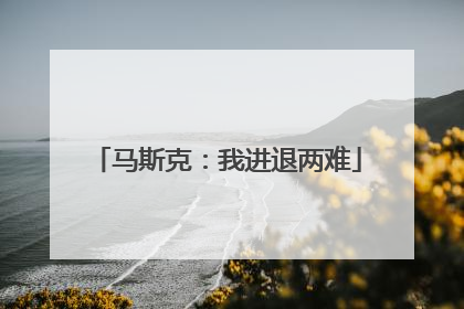 马斯克：我进退两难