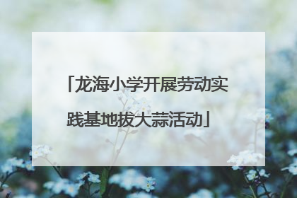 龙海小学开展劳动实践基地拔大蒜活动