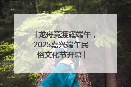 龙舟竞渡耀端午，2025嘉兴端午民俗文化节开幕