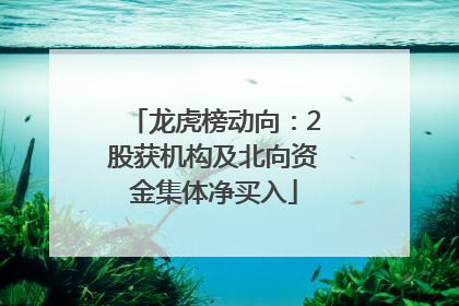 龙虎榜动向：2股获机构及北向资金集体净买入