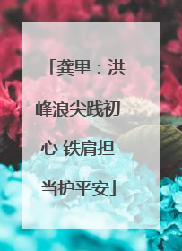 龚里：洪峰浪尖践初心 铁肩担当护平安