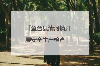 鱼台县清河镇开展安全生产检查