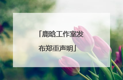 鹿晗工作室发布郑重声明