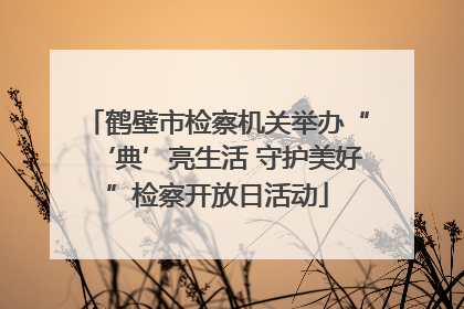 鹤壁市检察机关举办“‘典’亮生活 守护美好”检察开放日活动