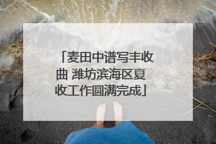 麦田中谱写丰收曲 潍坊滨海区夏收工作圆满完成