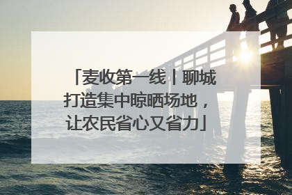 麦收第一线丨聊城打造集中晾晒场地，让农民省心又省力