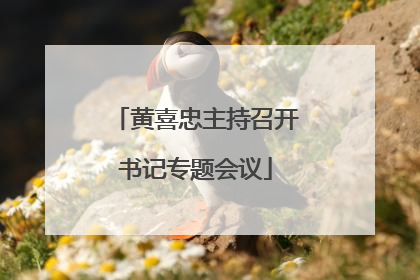 黄喜忠主持召开书记专题会议