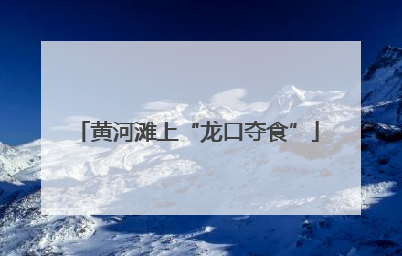 黄河滩上“龙口夺食”