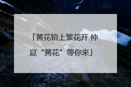黄花镇上繁花开 仲夏“黄花”等你来