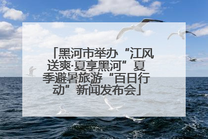 黑河市举办“江风送爽·夏享黑河”夏季避暑旅游“百日行动”新闻发布会