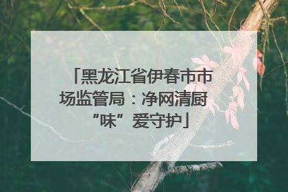 黑龙江省伊春市市场监管局：净网清厨 “味”爱守护