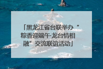 黑龙江省台联举办“粽香迎端午·龙台情相融”交流联谊活动