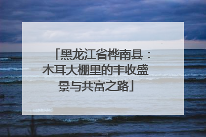 黑龙江省桦南县：木耳大棚里的丰收盛景与共富之路
