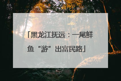 黑龙江抚远：一尾鲜鱼“游”出富民路