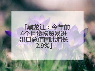 黑龙江：今年前4个月货物贸易进出口总值同比增长2.9%