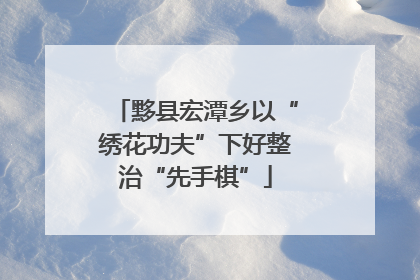 黟县宏潭乡以“绣花功夫”下好整治“先手棋”