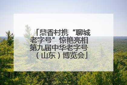 鼎香村携“聊城老字号”惊艳亮相第九届中华老字号（山东）博览会