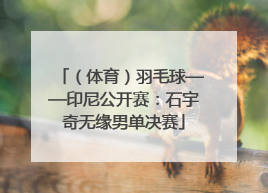 （体育）羽毛球——印尼公开赛：石宇奇无缘男单决赛
